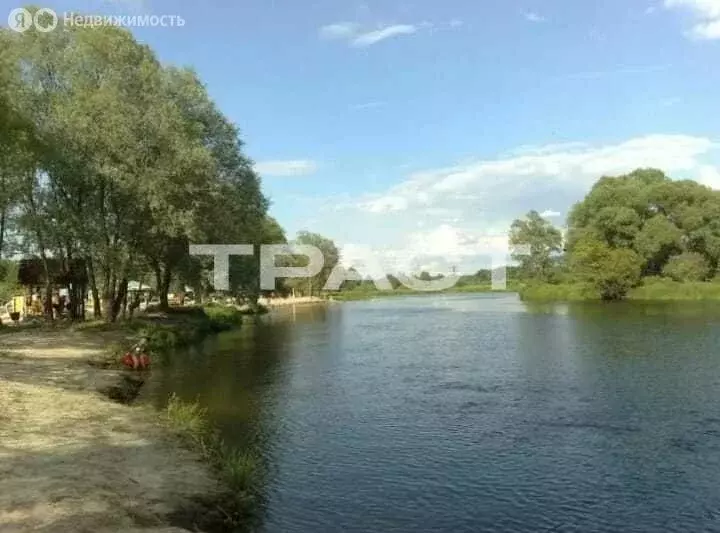 Участок в Ступино, Набережная улица, 20Б (10 м) - Фото 1