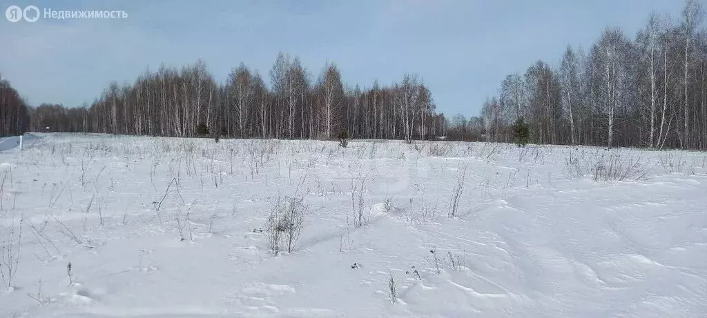 Участок в Курганская область, Кетовский муниципальный округ, НДПК ... - Фото 2