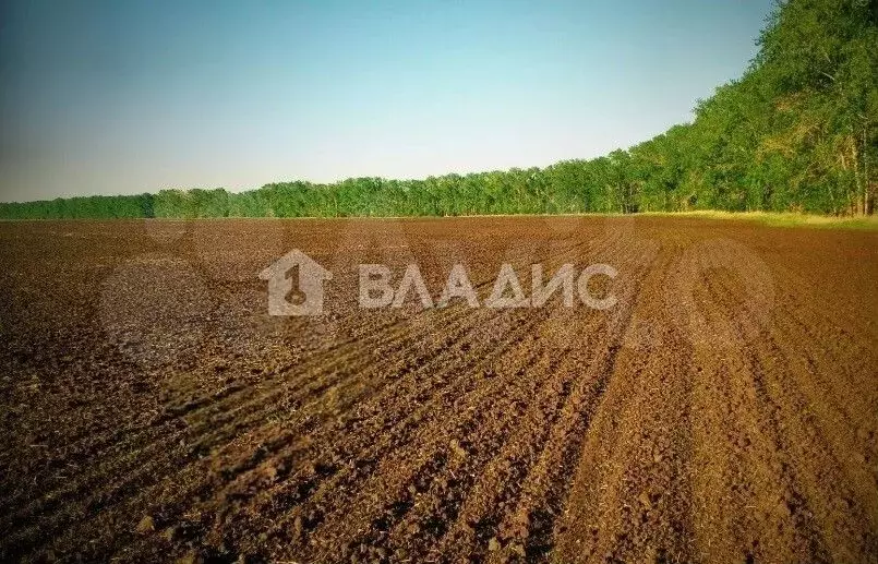 Участок 37,11 га (СНТ, ДНП) - Фото 1