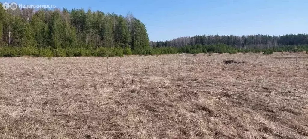 Участок в Кирово-Чепецкий муниципальный район, Фатеевское сельское ... - Фото 1