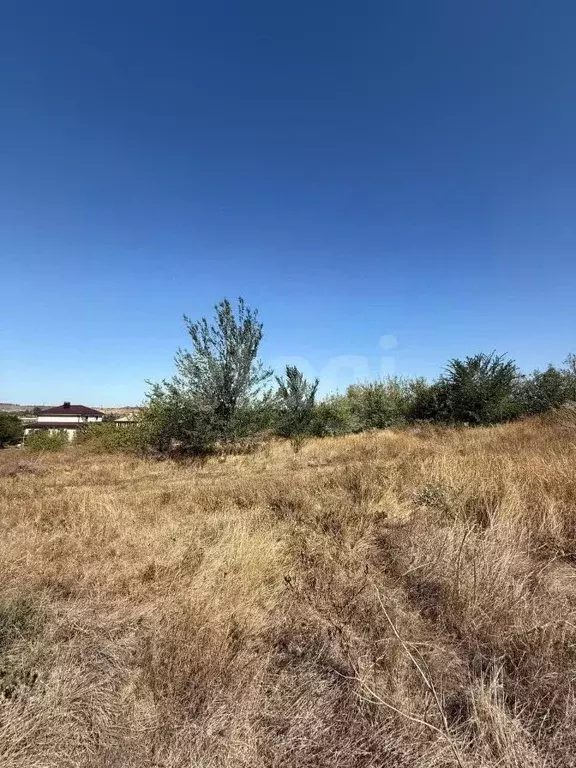 Участок в Ростовская область, Аксайский район, Большой Лог хут. ул. ... - Фото 1