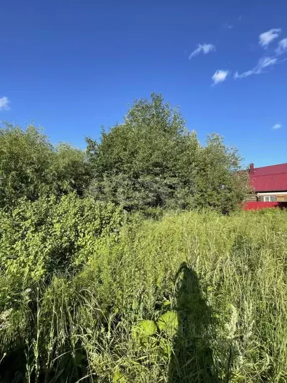 Участок в Архангельская область, Котлас ул. Степана Разина (10.0 сот.) - Фото 1