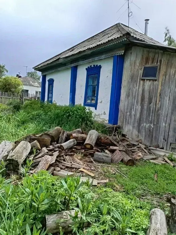 Дом в Новосибирская область, Сузунский район, с. Заковряжино  (55 м) - Фото 0