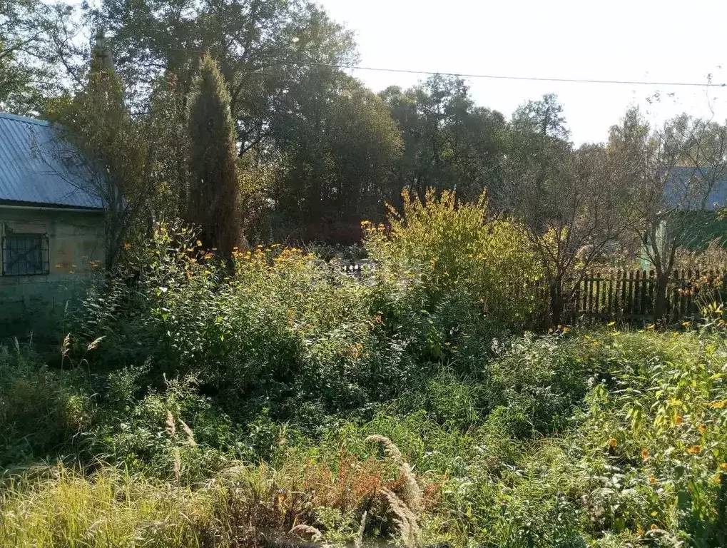 Дом в Калужская область, Перемышльский муниципальный округ, Большие ... - Фото 1