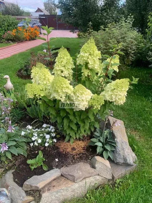 Коттедж в Свердловская область, Екатеринбург Горняк СТ,  (180 м) - Фото 2