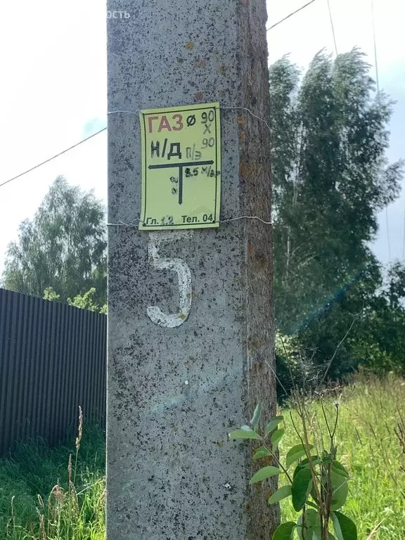 Участок в Калужская область, Дзержинский муниципальный округ, сельское ... - Фото 1