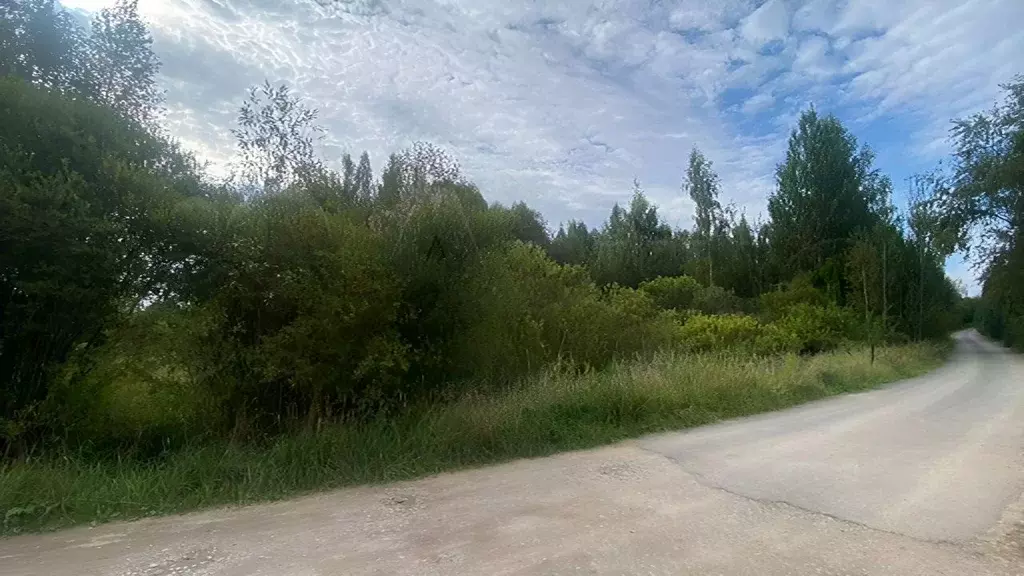 Участок в Ленинградская область, Лужский район, Дзержинское с/пос, д. ... - Фото 1