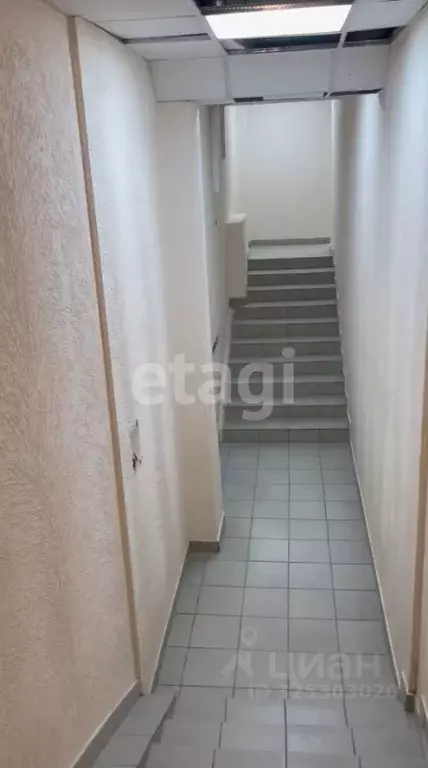 Помещение свободного назначения в Новосибирская область, Новосибирск ... - Фото 1