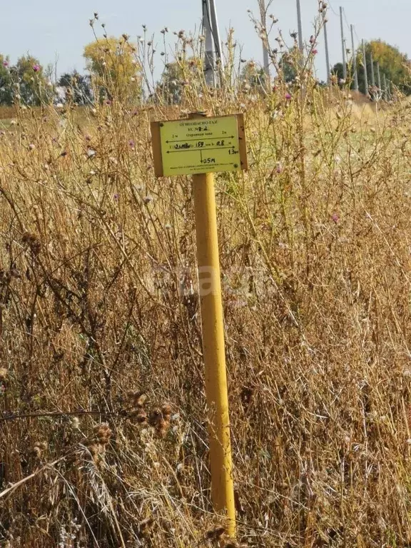 Участок в Башкортостан, Уфимский район, Булгаковский сельсовет, д. ... - Фото 2