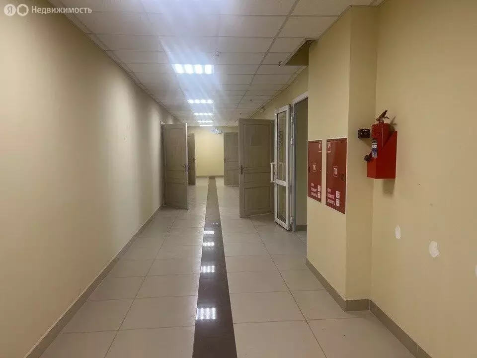 Офис (926.9 м) - Фото 1