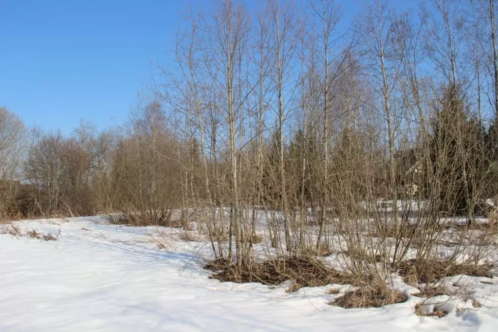 Участок в Московская область, Шаховская муниципальный округ, д. ... - Фото 1