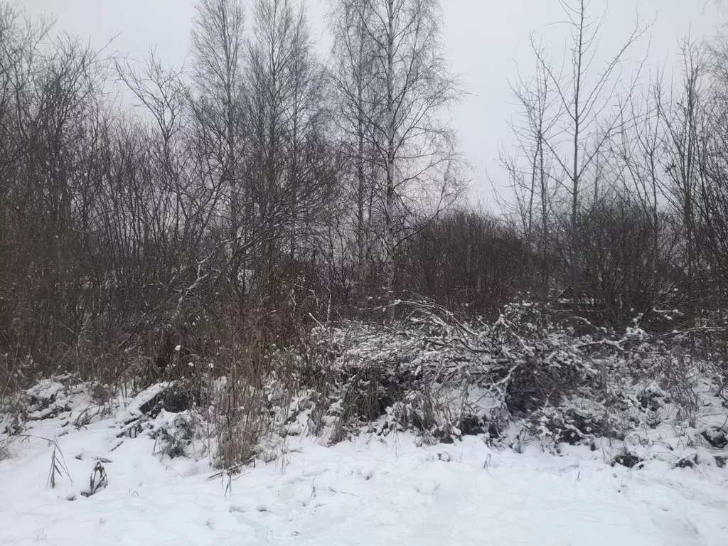 Участок в Ленинградская область, Никольское Тосненский район, Сокол-2 ... - Фото 2