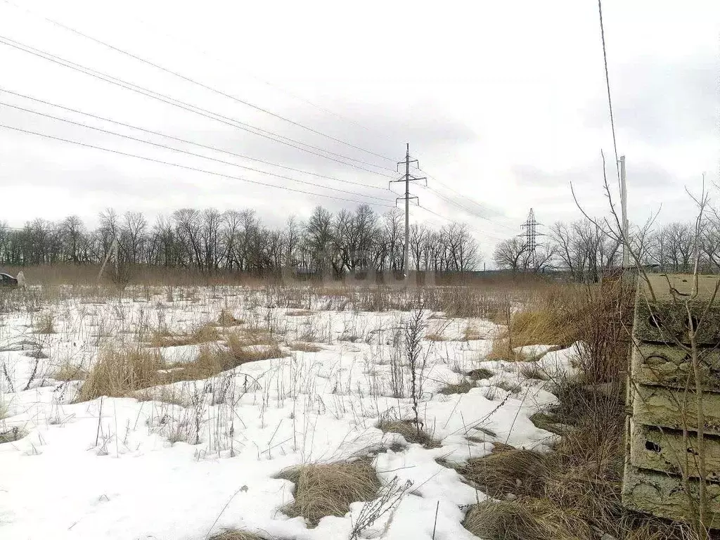 Участок в Белгородская область, Новый Оскол ул. Абрикосовая, 20 (15.0 ... - Фото 1