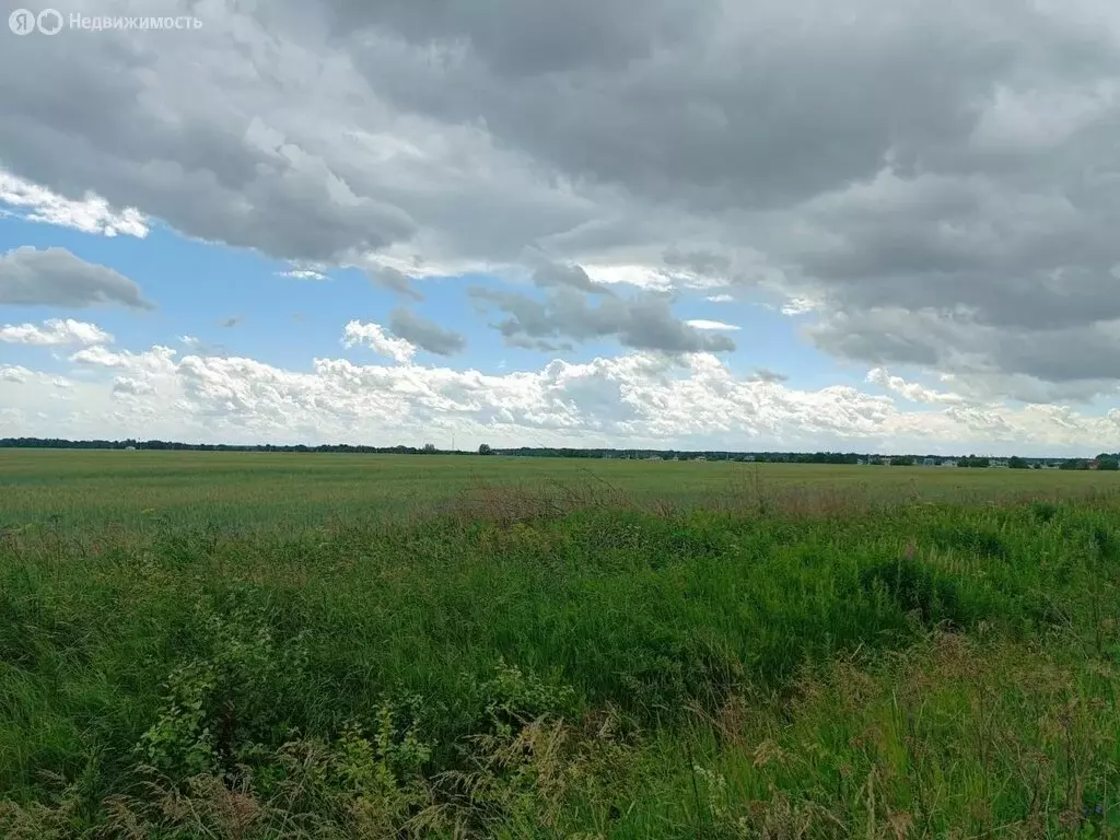 Участок в Всеволожский район, Колтушское городское поселение, деревня ... - Фото 0