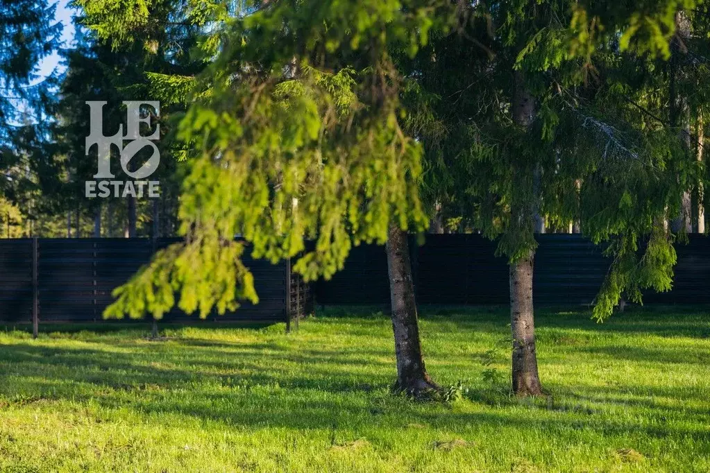 Участок в Московская область, Клин городской округ, Ели Эстейт ... - Фото 2