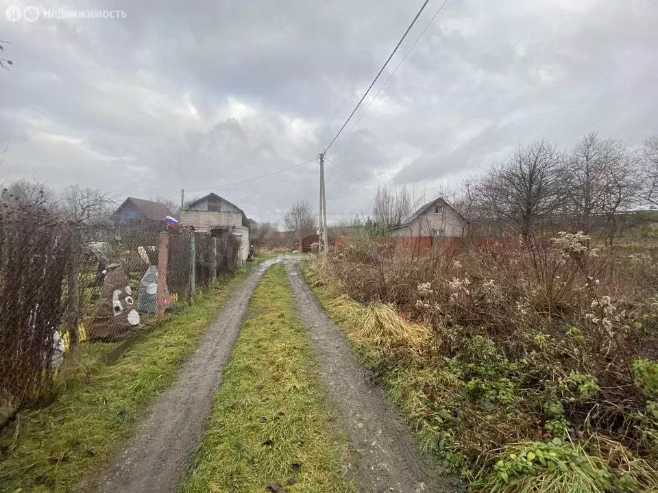 Дом в Калининград, СНТ Чайка, Каштановая улица (23 м) - Фото 2