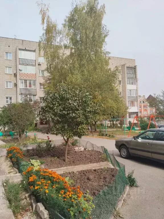 3-к кв. Липецкая область, Елец ул. Мира, 6 (60.0 м) - Фото 0