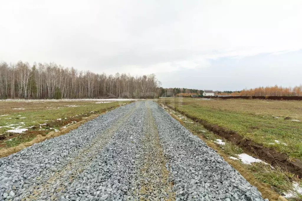 Участок в Тюменский муниципальный округ, деревня Насекина (8.17 м) - Фото 2