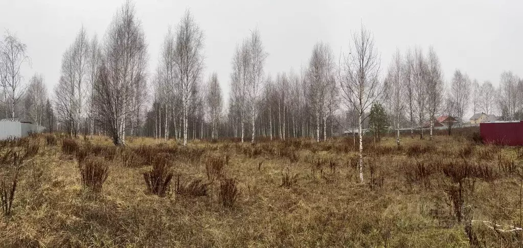 Участок в Удмуртия, Завьяловский район, с. Ягул ул. Липовая (50.0 ... - Фото 2