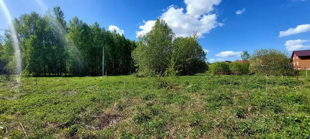 Участок в Нижегородская область, Богородский муниципальный округ, д. ... - Фото 0