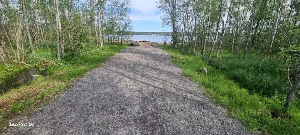 Участок в Ленинградская область, Приозерский район, Раздольевское ... - Фото 1