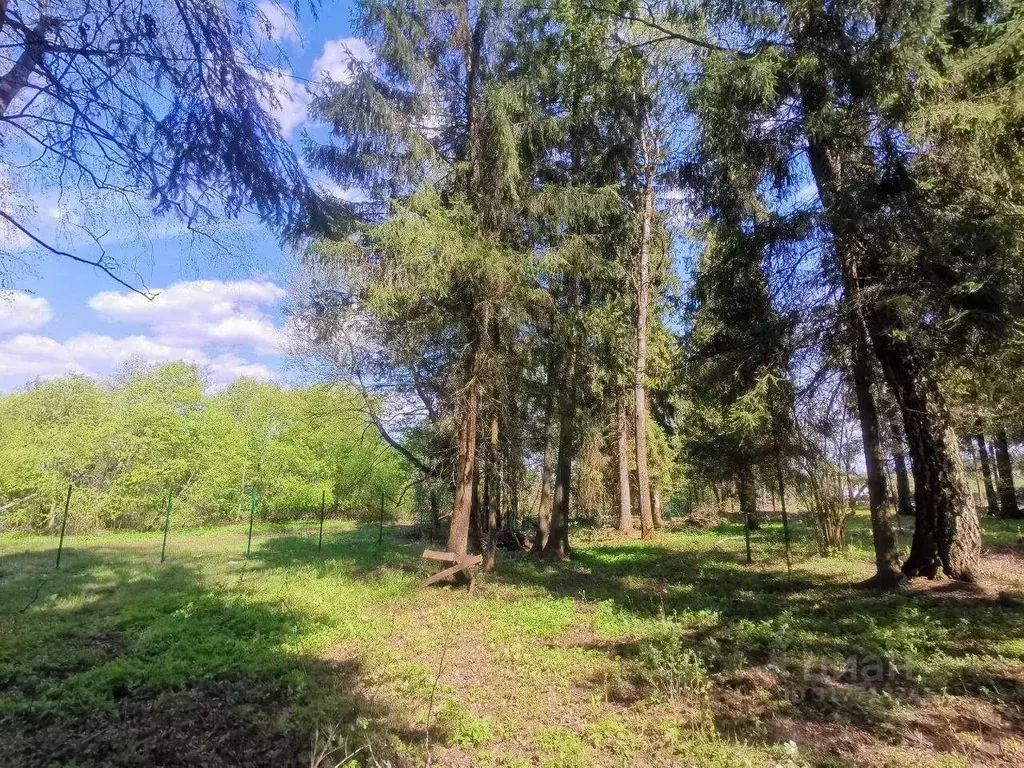 Участок, 16.2 сот., сельхоз (снт или днп) - Фото 1