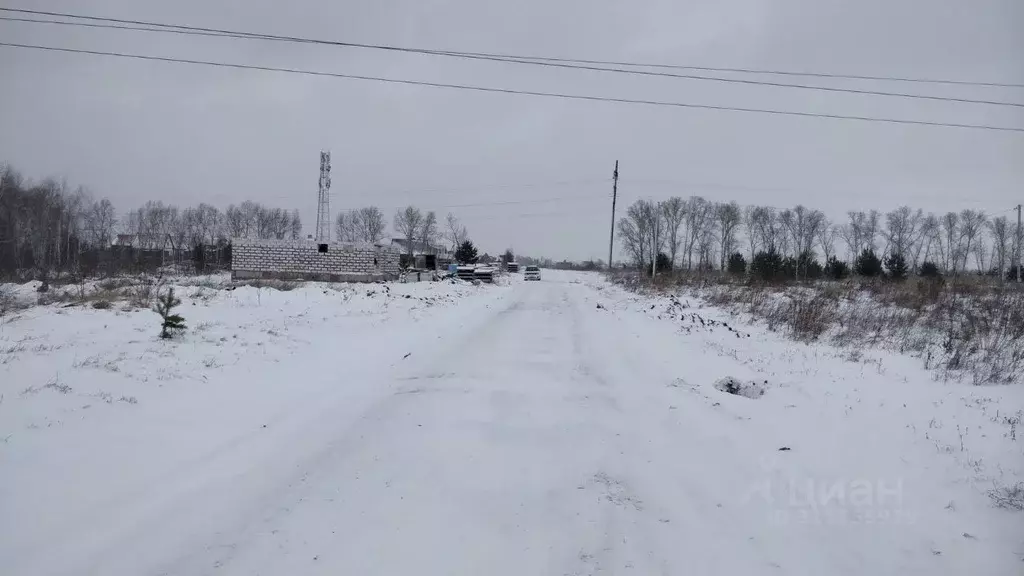 Участок в Алтайский край, Первомайский район, пос. Новый ул. Чехова ... - Фото 0