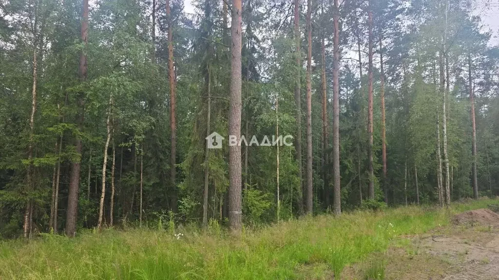 Участок в Ленинградская область, Всеволожск ул. Мужества, 26 (8.0 ... - Фото 2