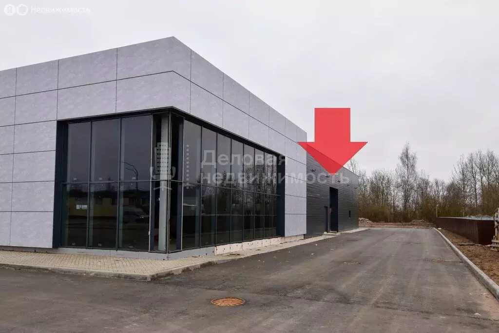 Помещение свободного назначения (550 м) - Фото 0