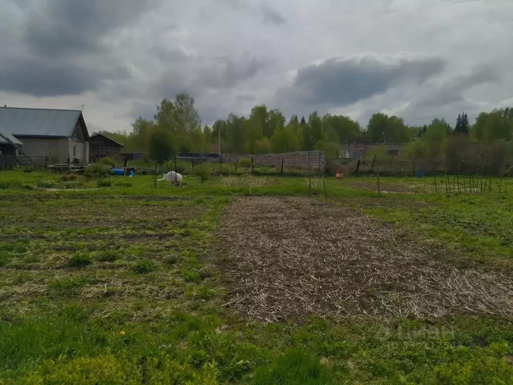 Участок в Новосибирская область, Новосибирский район, Барышевский ... - Фото 2