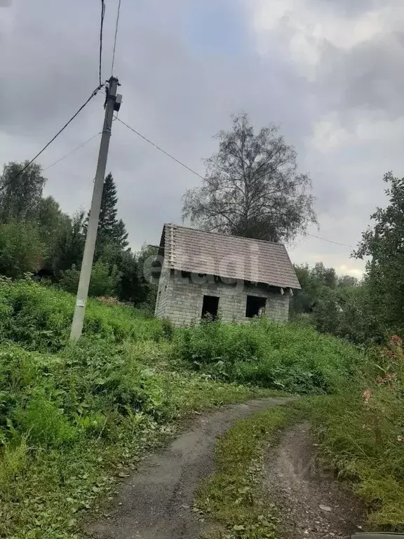 Участок в Новосибирская область, Новосибирский район, Раздольненский ... - Фото 1