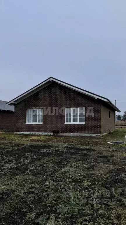 Дом в Воронежская область, Рамонский район, с. Новоживотинное ул. ... - Фото 1