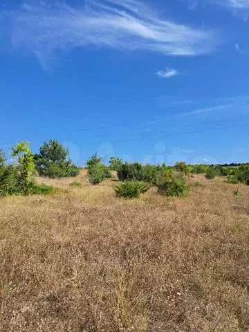 Участок 4,2 га (СНТ, ДНП) - Фото 0
