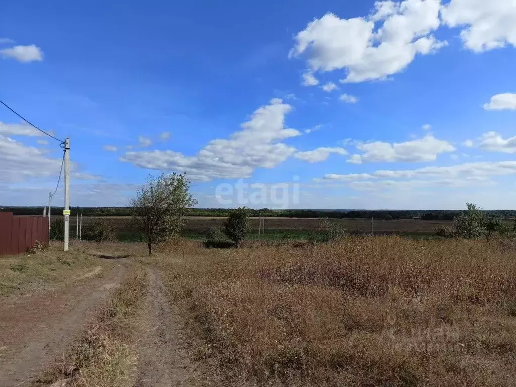 Участок в Воронежская область, Хохольский район, с. Архангельское ... - Фото 1