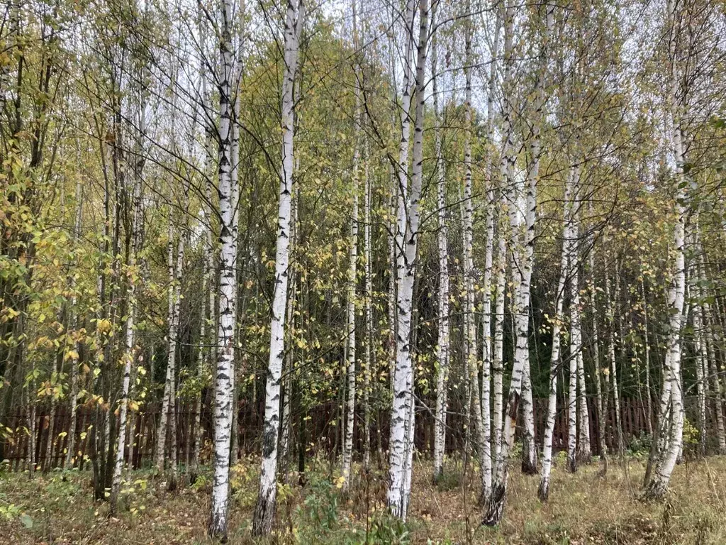 Дом в Владимирская область, Александровский район, Следневское ... - Фото 1