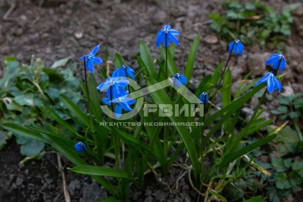 2-к кв. Калининградская область, Калининград Молдавская ул., 5 (45.4 ... - Фото 1