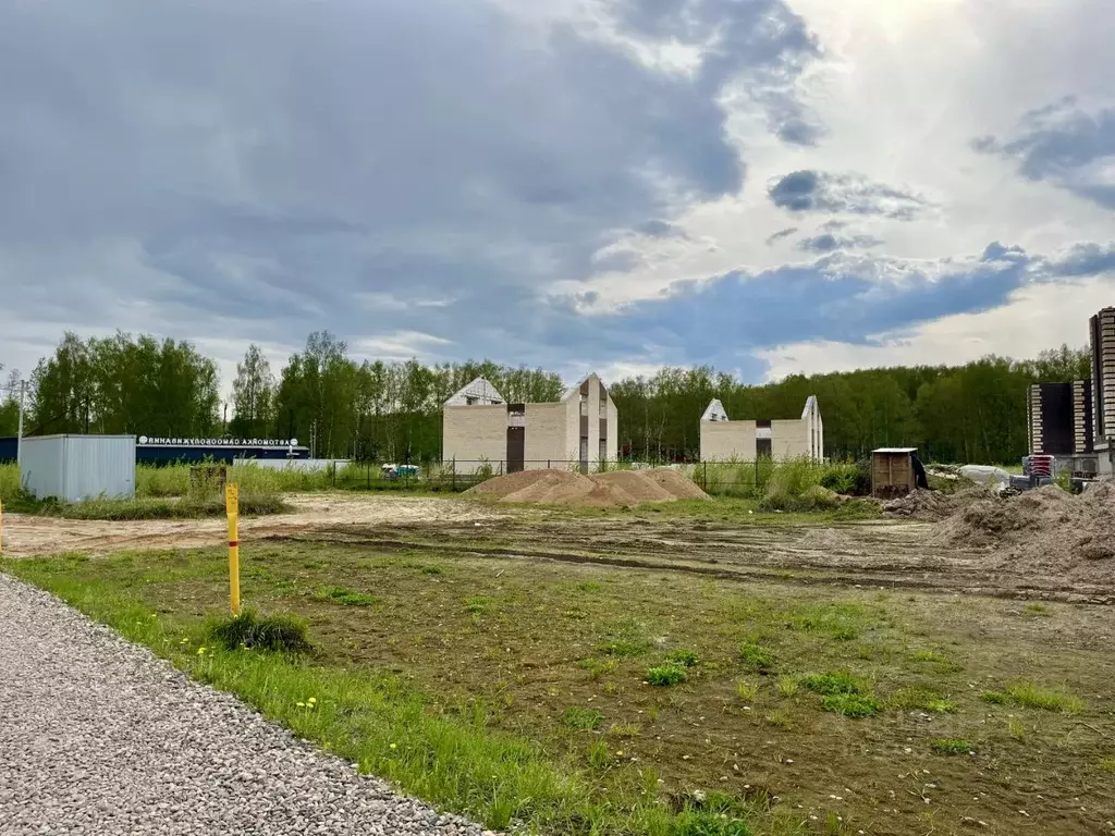 Участок в Ярославская область, Ярославский муниципальный округ, д. ... - Фото 2