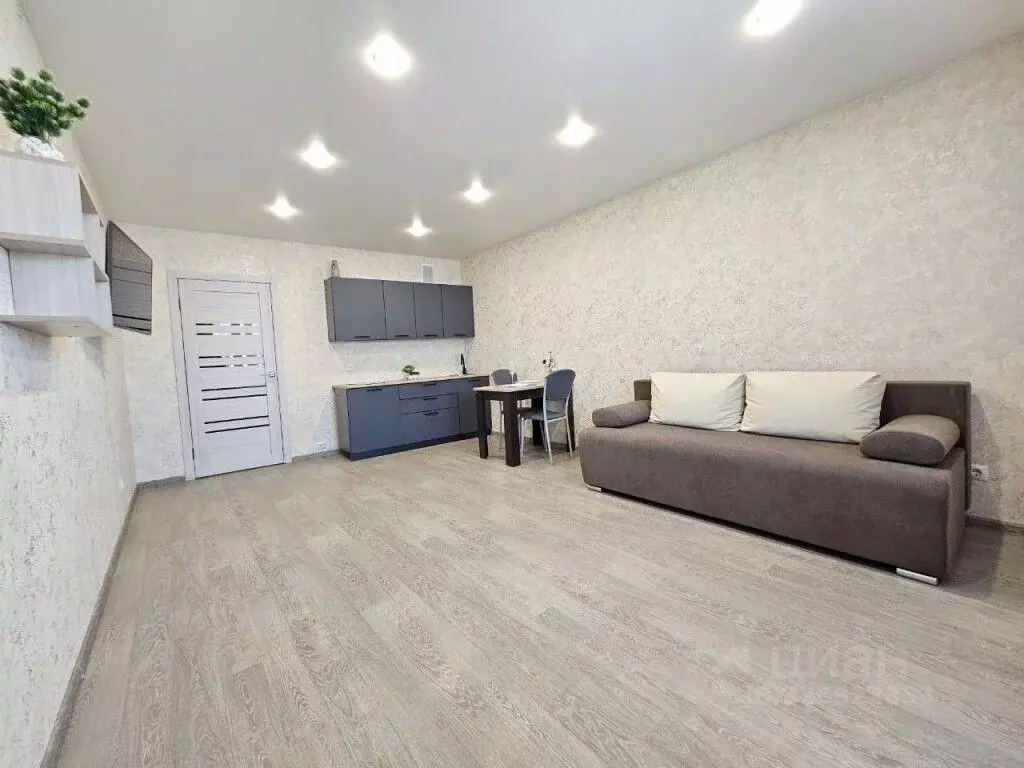 Студия Амурская область, Благовещенский район, с. Чигири Восточная ... - Фото 1