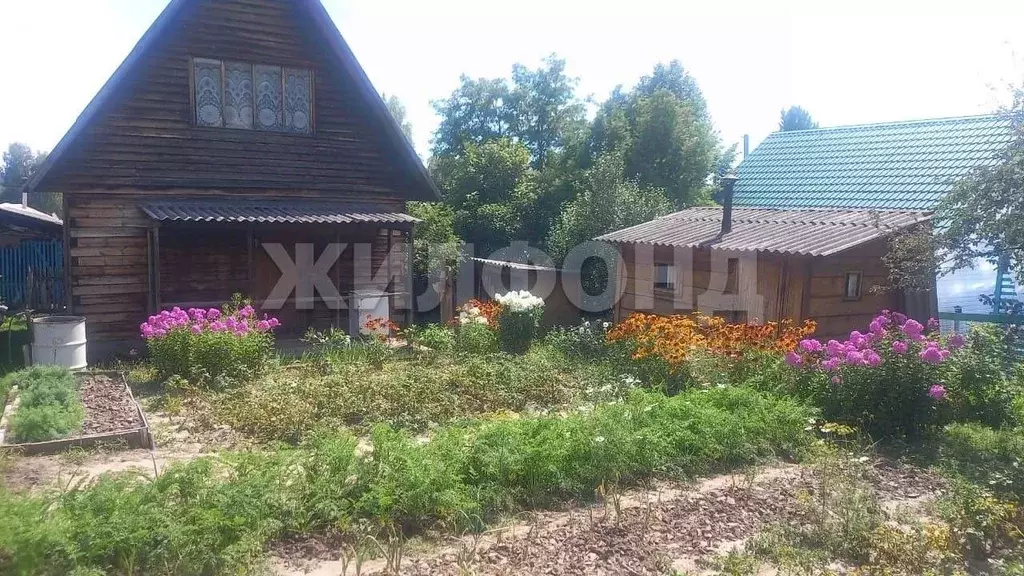 Дом в Новосибирская область, Новосибирский район, Новолуговской ... - Фото 2