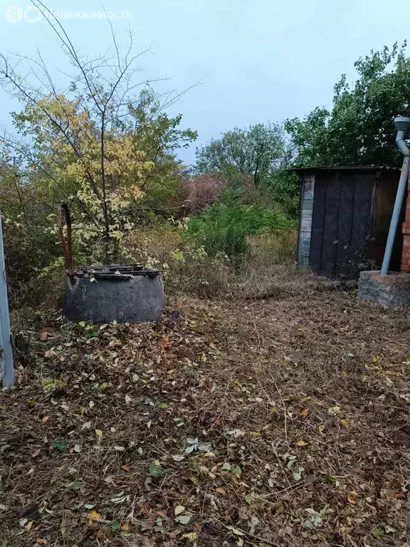 Дом в Широчанка, садовое товарищество Дружба (20 м) - Фото 0