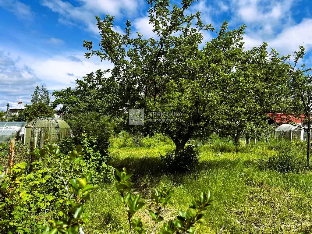 Продается дом в д. Кашино - Фото 2