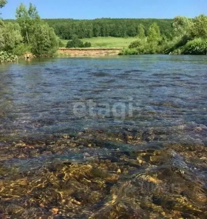 Участок в Башкортостан, Ишимбайский район, Петровский сельсовет, д. ... - Фото 2