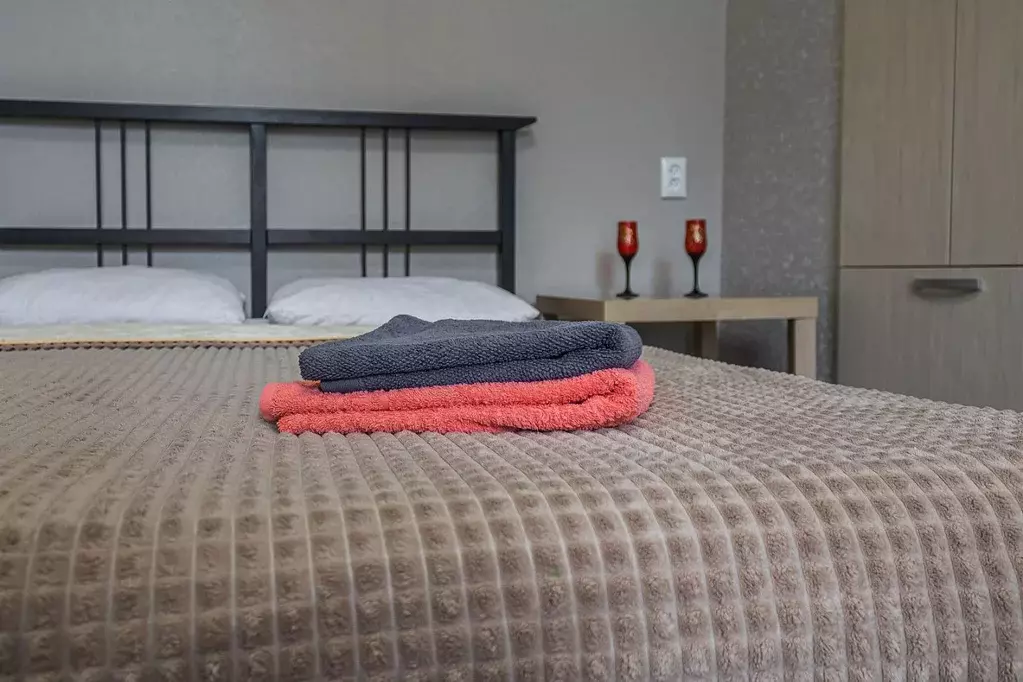 1-к кв. Нижегородская область, Нижний Новгород просп. Гагарина, 52 ... - Фото 1