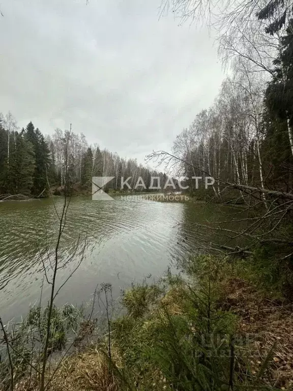 Участок в Нижегородская область, Городецкий муниципальный округ, Залив ... - Фото 0