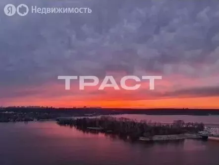 1-комнатная квартира: Воронеж, улица Артамонова, 4Д (31 м) - Фото 0