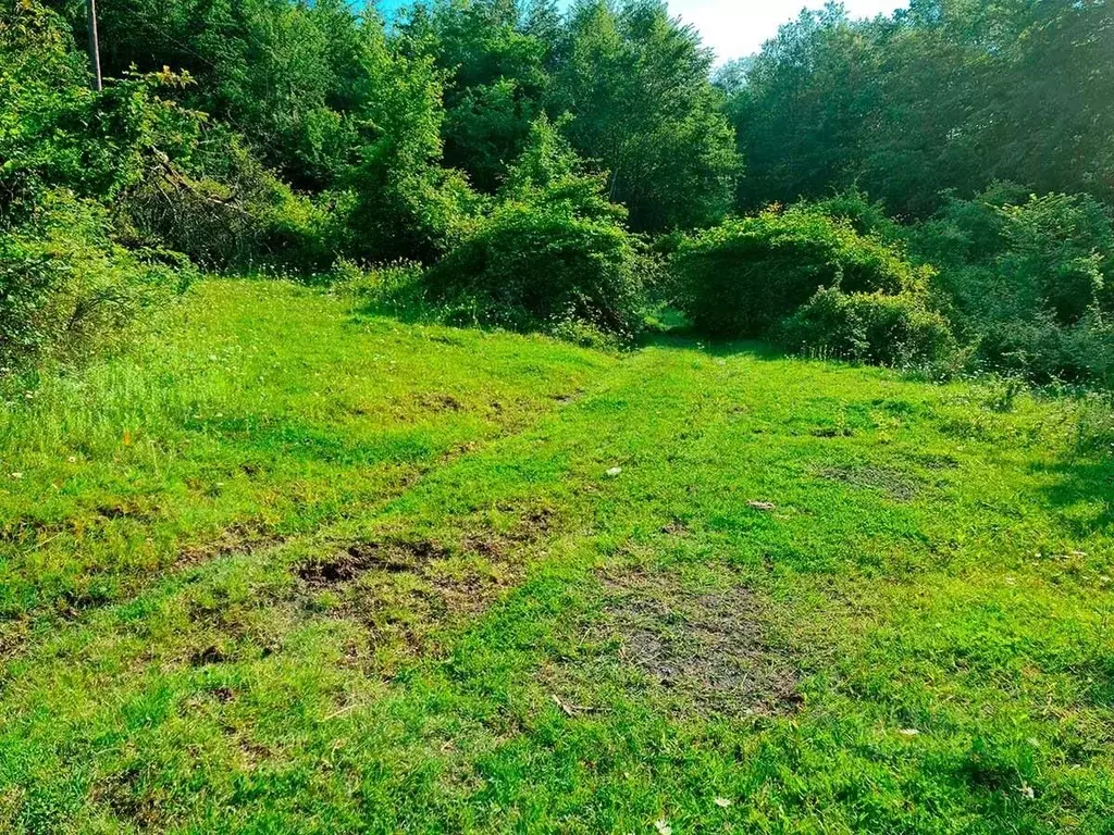 Участок в Краснодарский край, Сочи городской округ, с. Верхний Юрт, ... - Фото 0