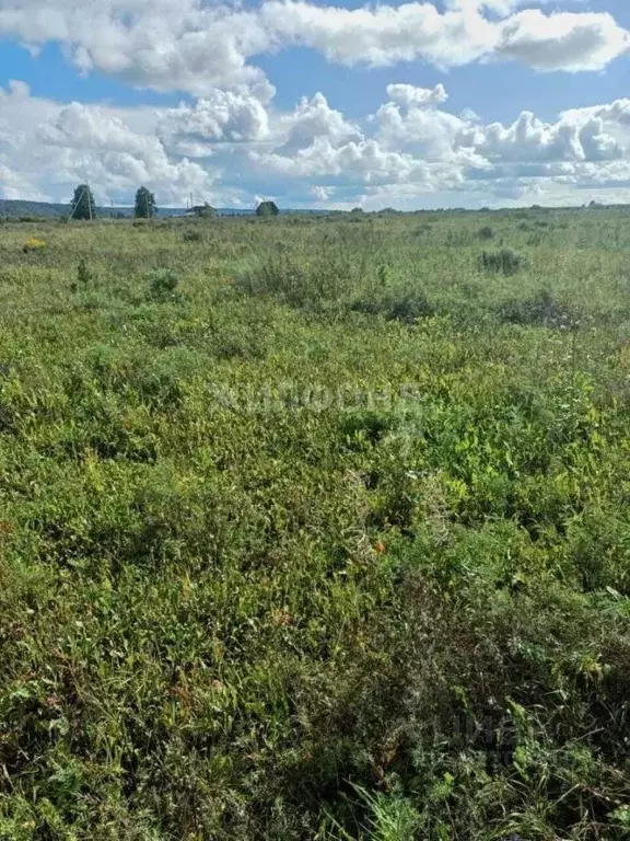 Участок в Томская область, Томский район, Стрижи СНТ ул. Магистральная ... - Фото 0