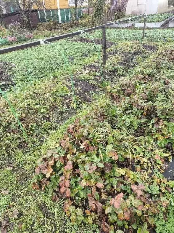 Дом в Ярославская область, Рыбинск Восход СНТ, 9 (18 м) - Фото 1