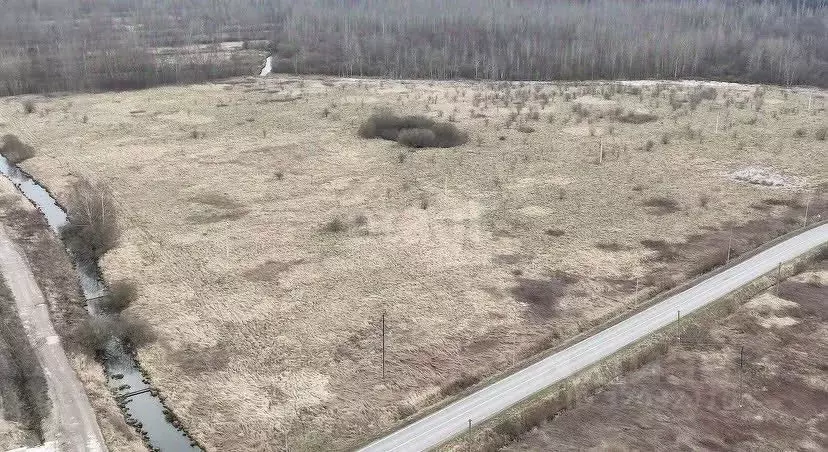 Участок в Калининградская область, Светловский городской округ, пос. ... - Фото 0