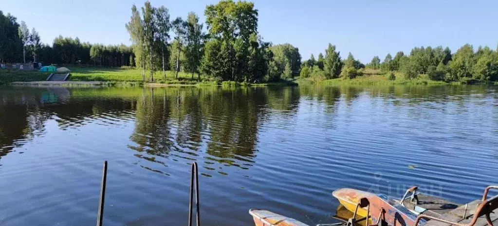 Участок в Нижегородская область, Чкаловск городской округ, д. ... - Фото 1